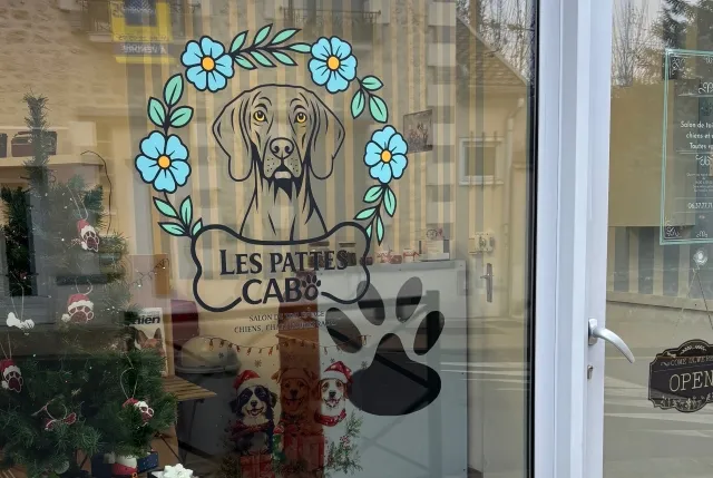 Photo de Les Pattes Cabo - galerie 1